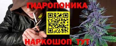 ГАЛЛЮЦИНОГЕННЫЕ ГРИБЫ Гусев