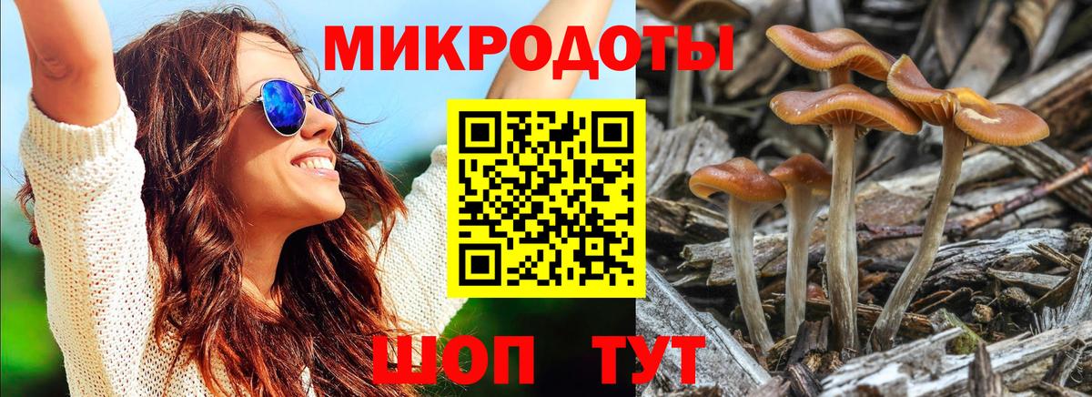 Псилоцибиновые грибы прущие грибы Новоалександровск