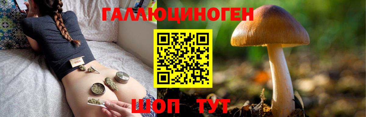 Новоалександровск  Псилоцибиновые грибы Magic Shrooms  Вход с VPN 