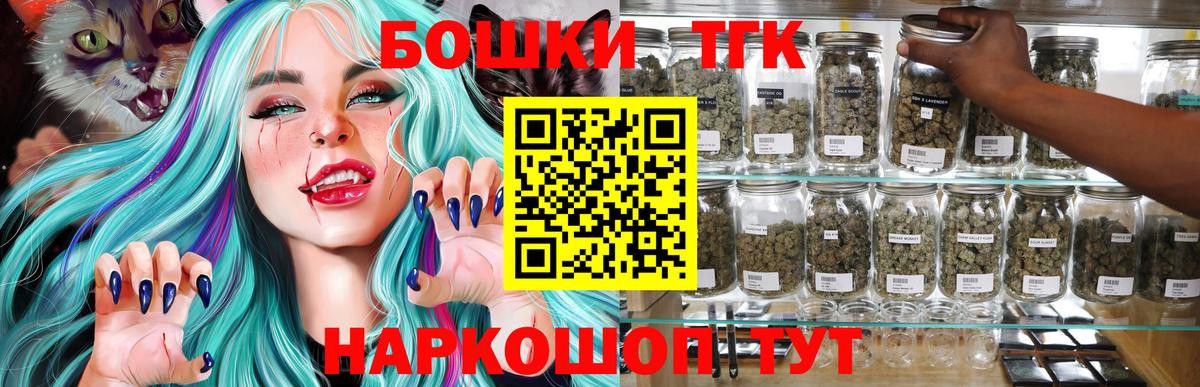 Каннабис сатива Новоалександровск
