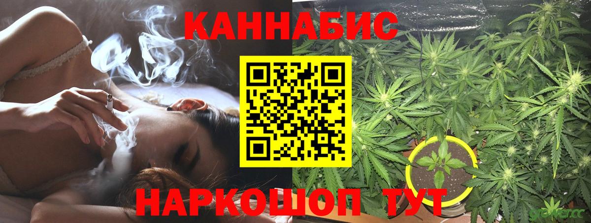 Канабис планчик  Вход с VPN  Каннабис White Widow  Новоалександровск  Конопля семена 